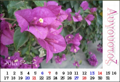 201108.jpg