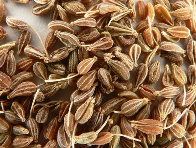 Aniseed_p1160018.jpg